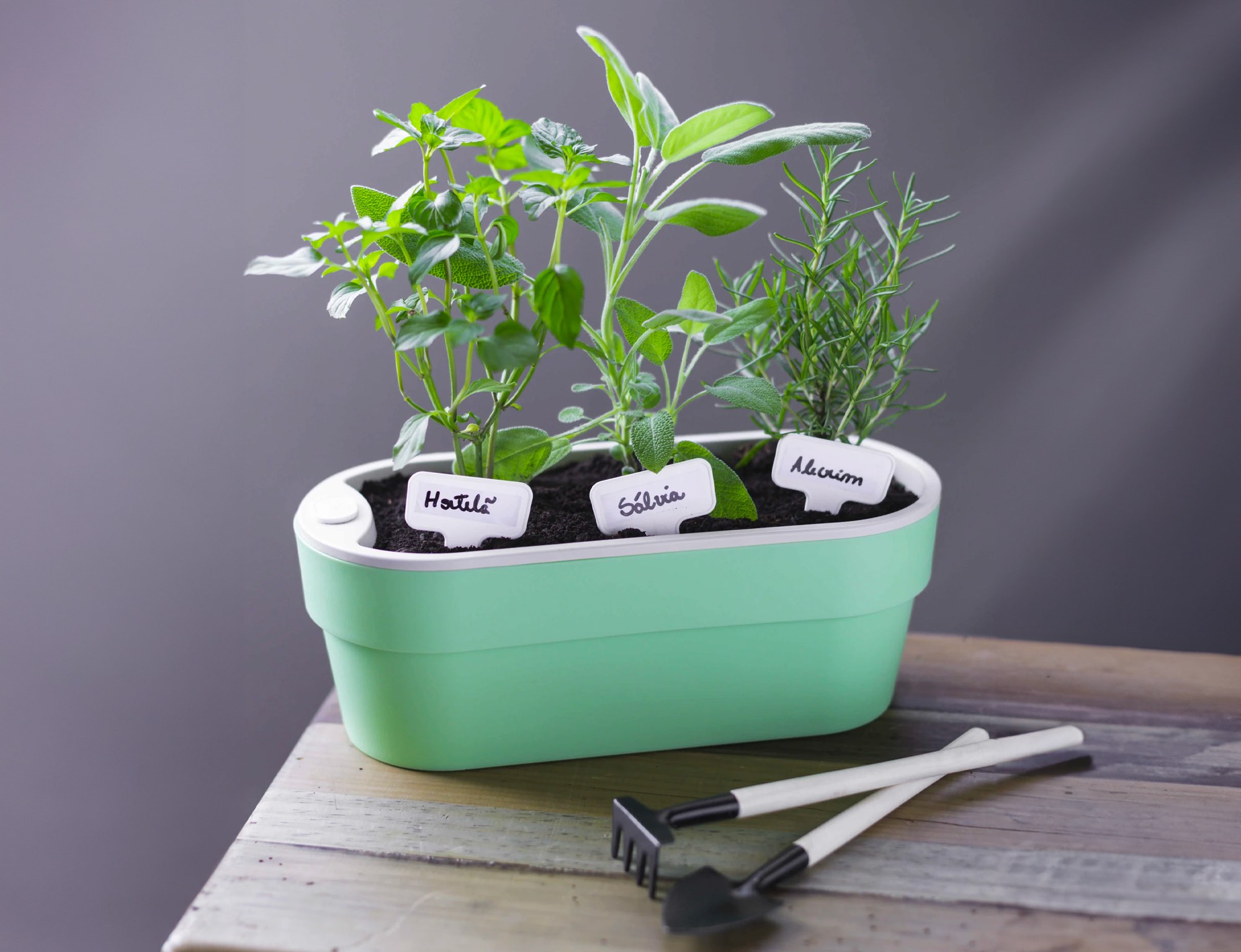 MACETERO HUERTA AUTO RIEGO VERDE MENTA 1,75 LT | OU - 4