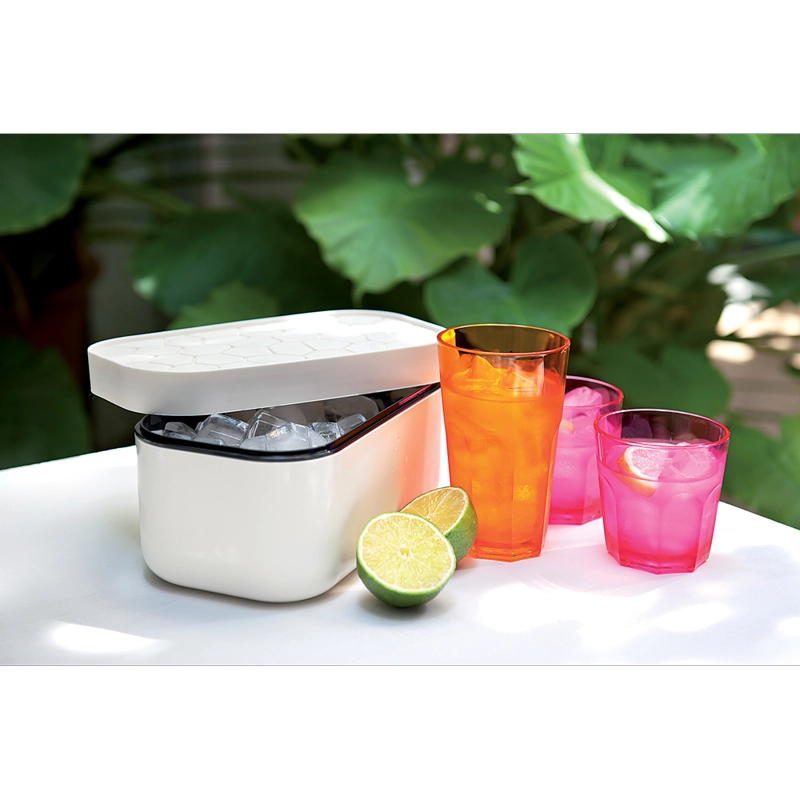 ICE BOX - EN COLOR BLANCO - 4