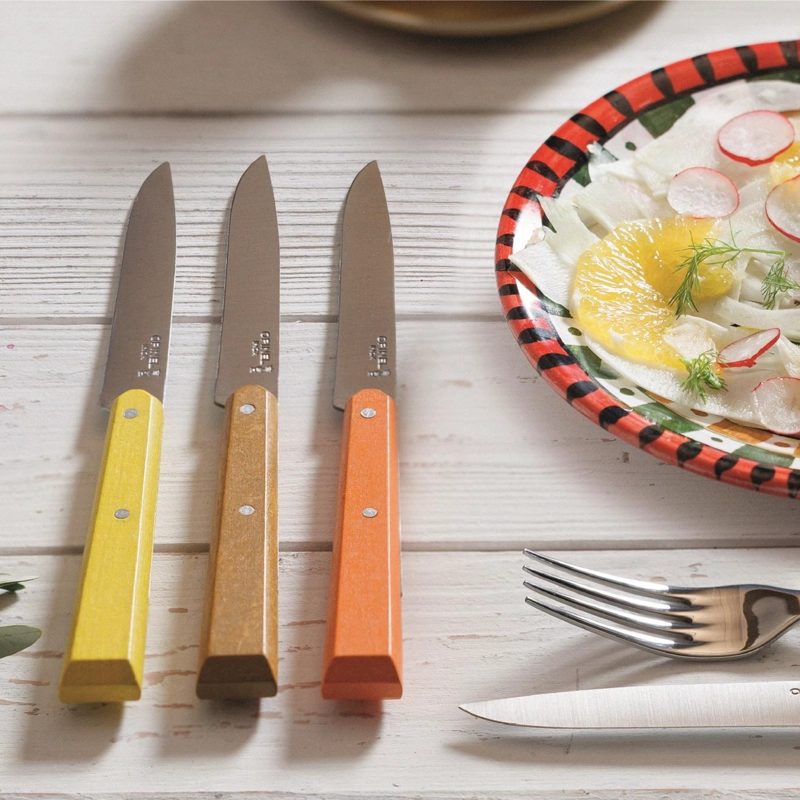 CUCHILLOS OPINEL N°125 BON APPE TIT AGRUMES - 4 UNIDADES - 2