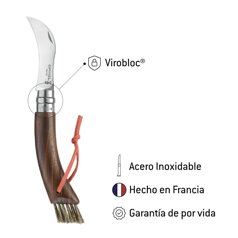 CUCHILLO N°08 NOGAL PARA COSECHAR SETAS - 3