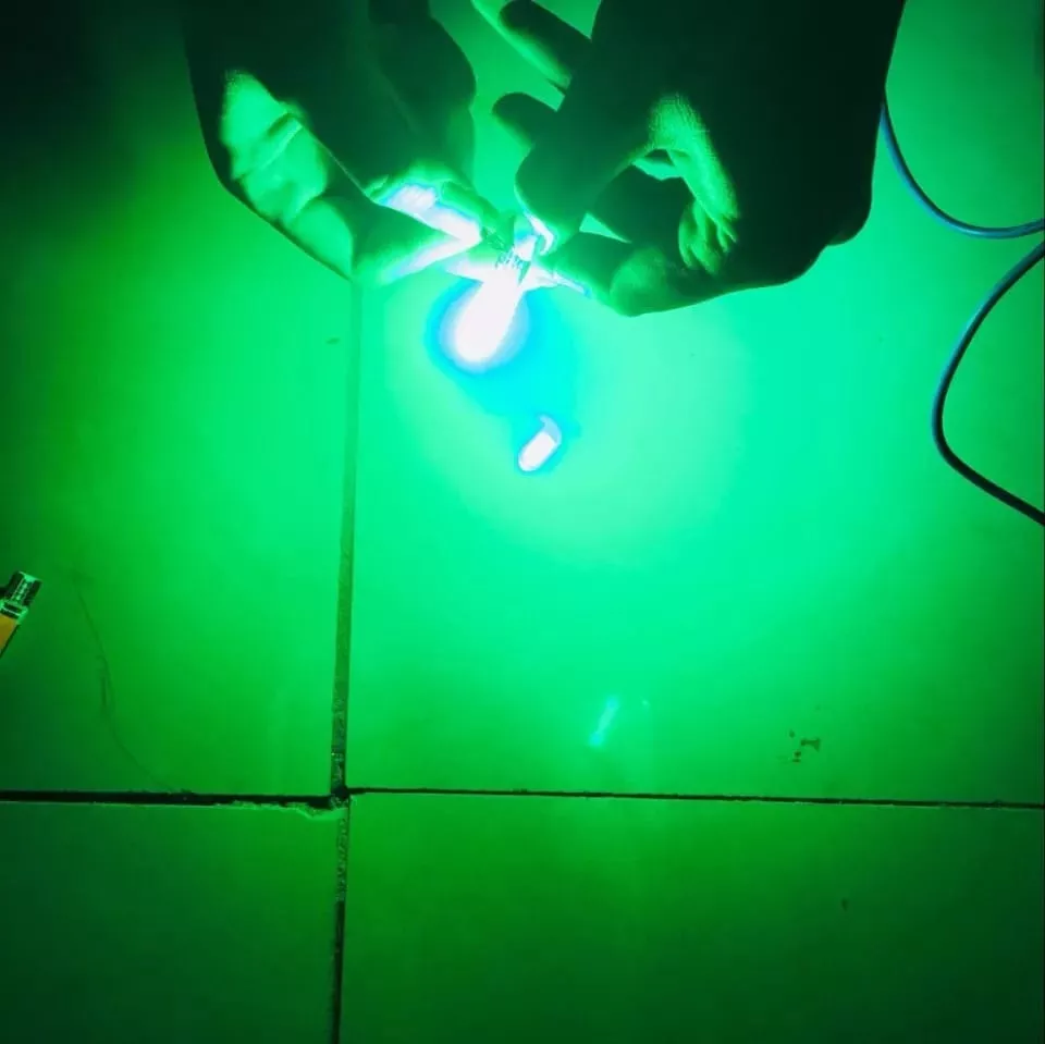 PAR AMPOLLETAS LED COLA PEZ COLOR, POSICIÓN T10 W5W 12V VERD - 3