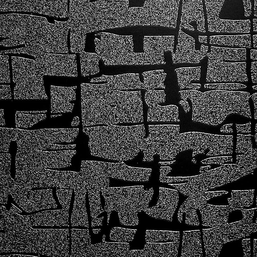 PAPEL VINILO PANORÁMICO PELICULA NEGRO TEXTURIZADO - 5