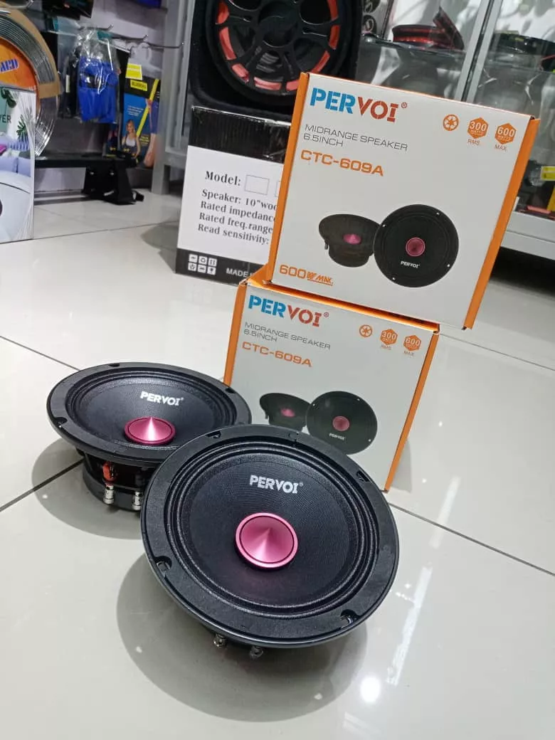 MEDIOS DE 6.5 16.5CM CTC-609A 300RMS 600W 4 OHM, EL PAR - 3
