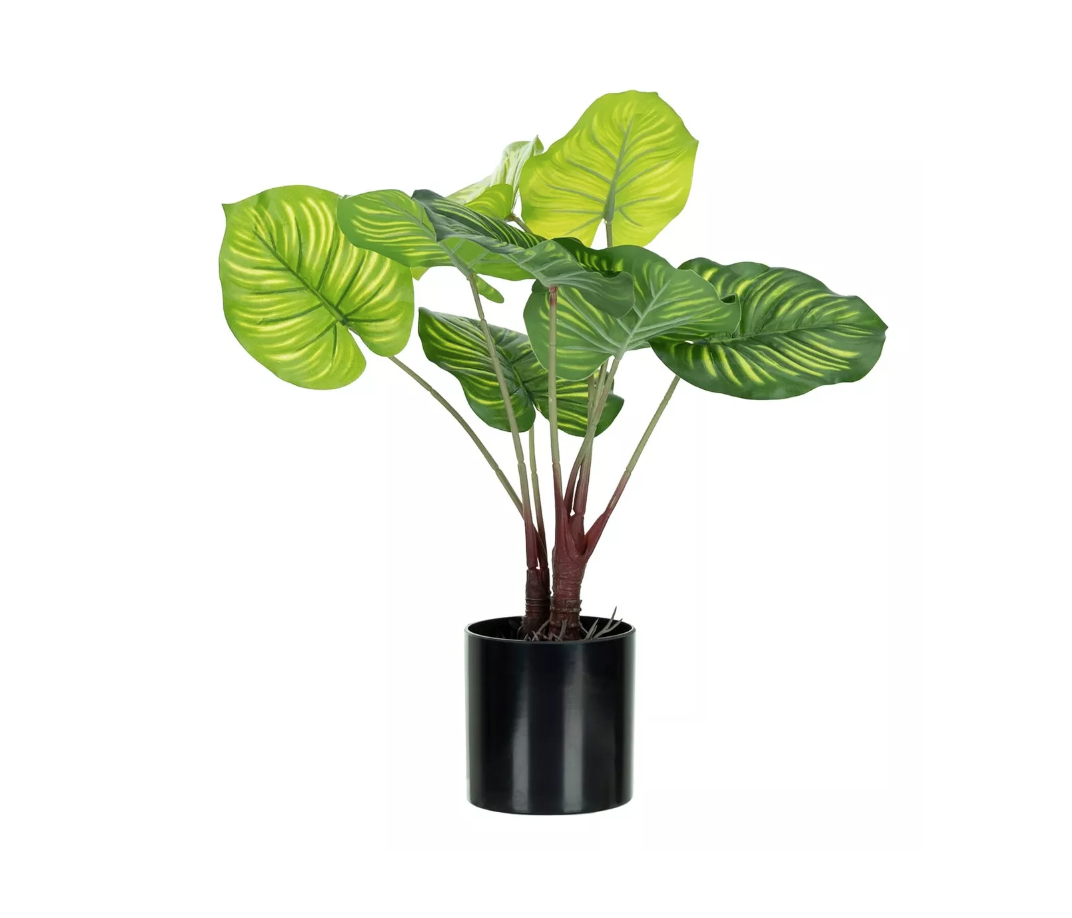 ADORNO PLANTA ARTIFICIAL CALATEA 39 CM - 1