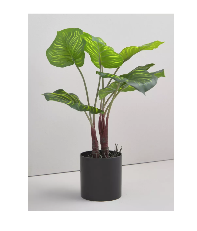 ADORNO PLANTA ARTIFICIAL CALATEA 39 CM - 4