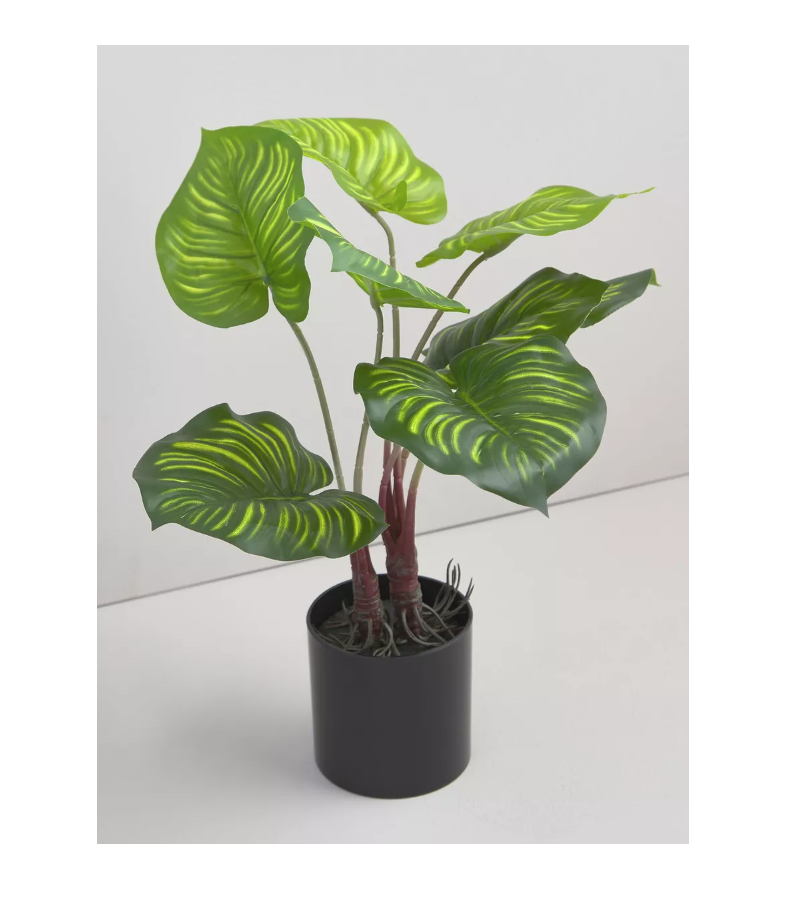 ADORNO PLANTA ARTIFICIAL CALATEA 39 CM - 5