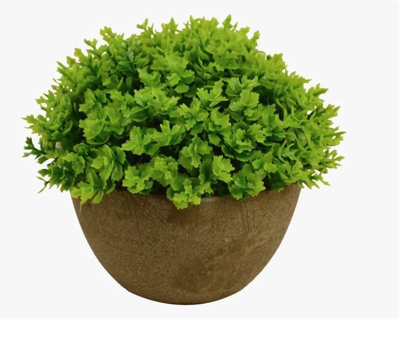 PLANTA MUSGO CON FLORES ARTIFICIAL - 1