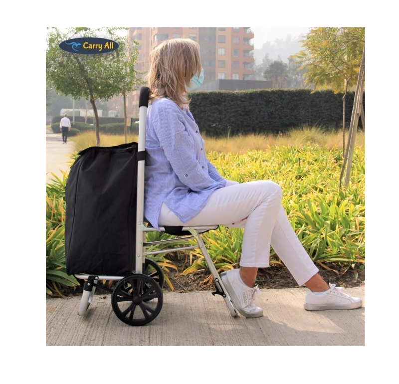 CARRITO DE COMPRAS PLEGABLE CON SILLA FERIA, SUPERMERCADO - 2