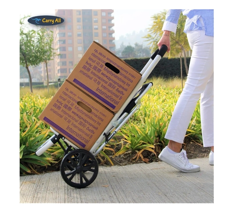 CARRITO DE COMPRAS PLEGABLE CON SILLA FERIA, SUPERMERCADO - 8
