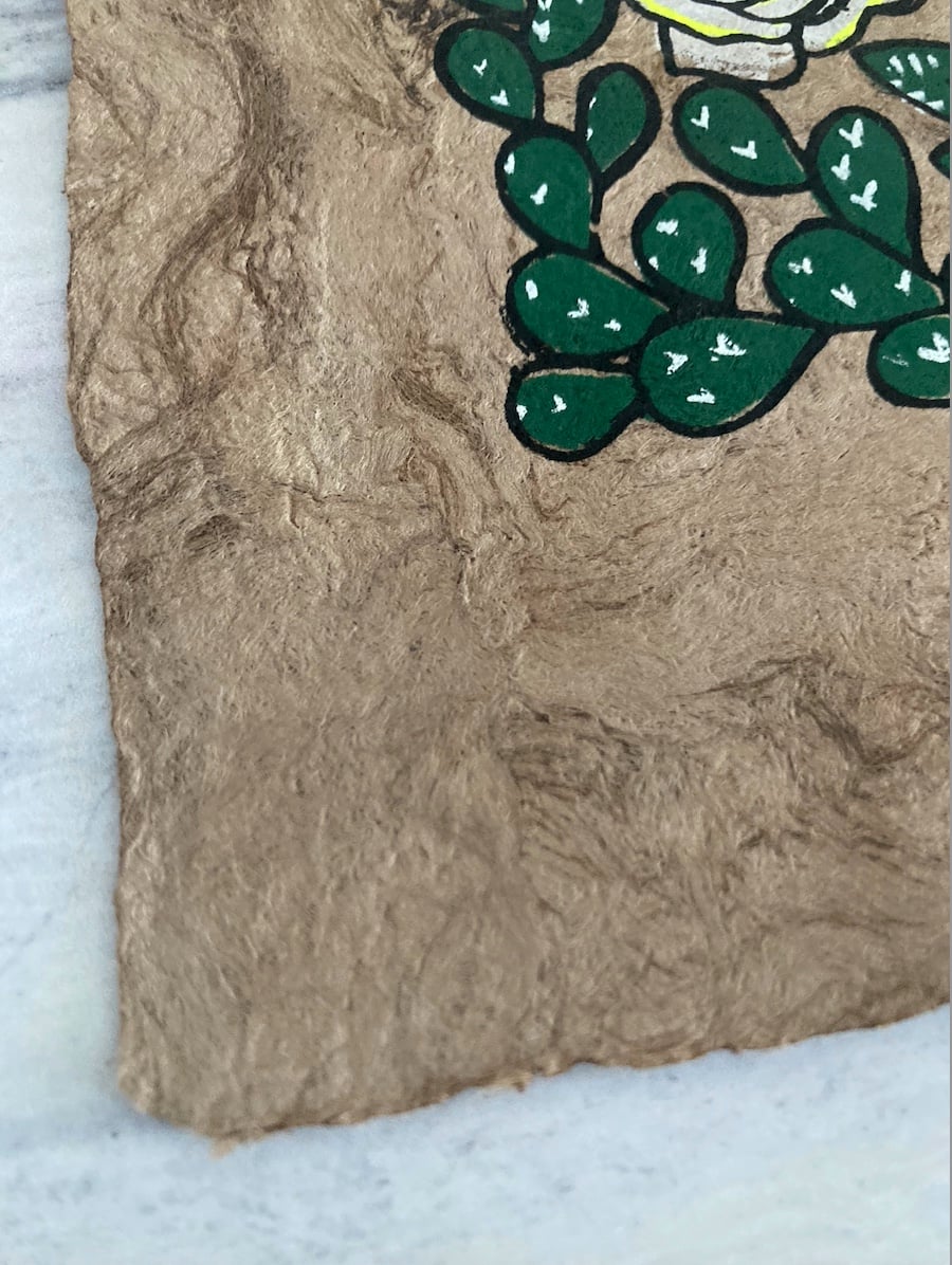 VIRGEN DE GUADALUPE 30X22 - 3