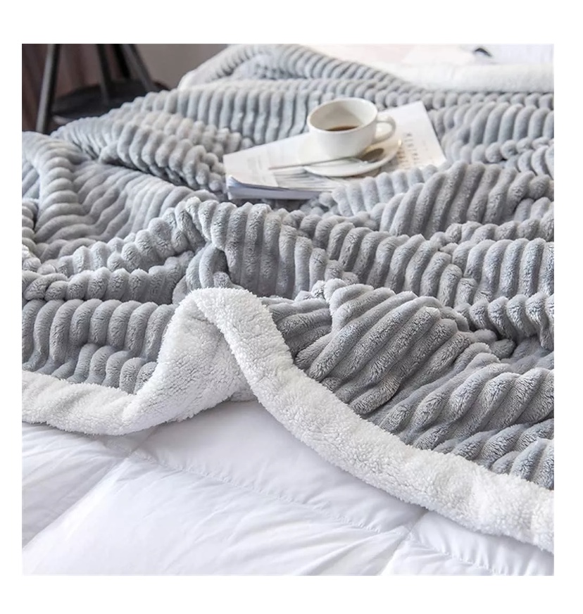 FRAZADA RIQUI CHIPORRO 230 X 200 CM MICROFIBRA GRIS - 3