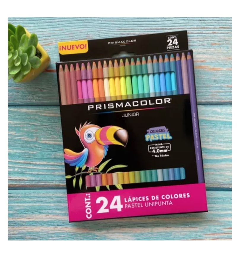 SET 24 LÁPICES RIQUI DE COLOR PRISMACOLOR - 3