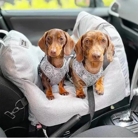 ASIENTO ALGODON PERROS AUTO RIQUI - 2