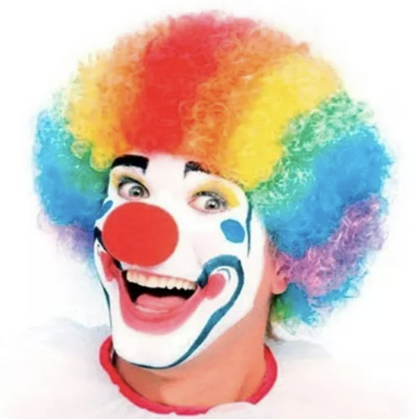 PELUCA PAYASO RIQUI MULTICOLOR - 2