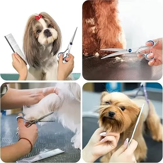 SET TIJERAS PERROS RIQUI PELUQUERÍA CANINA - 2