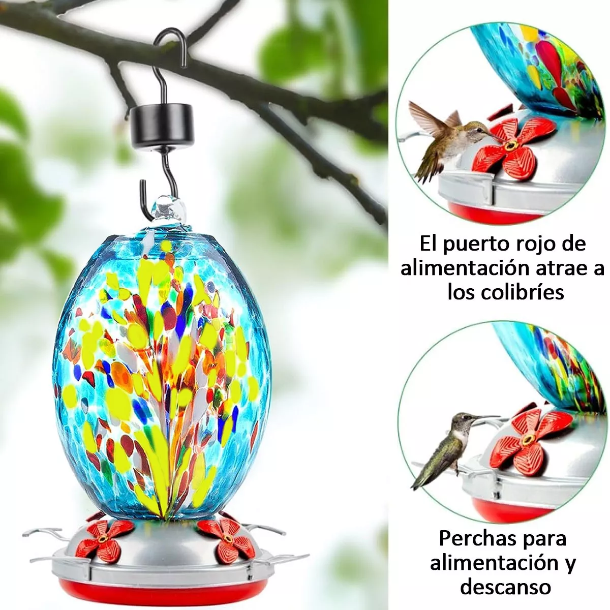COMEDERO RIQUI COLIBRÍ PICAFLOR - 4