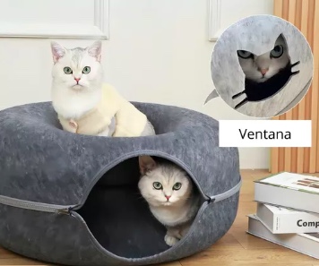 CASA GATO - 2