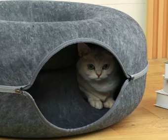 CASA GATO - 4