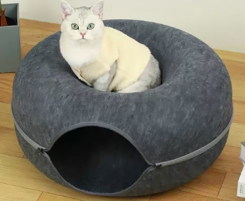 CASA GATO - 5