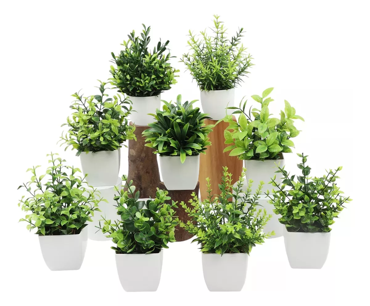 PLANTAS ARTIFICIALES - 1