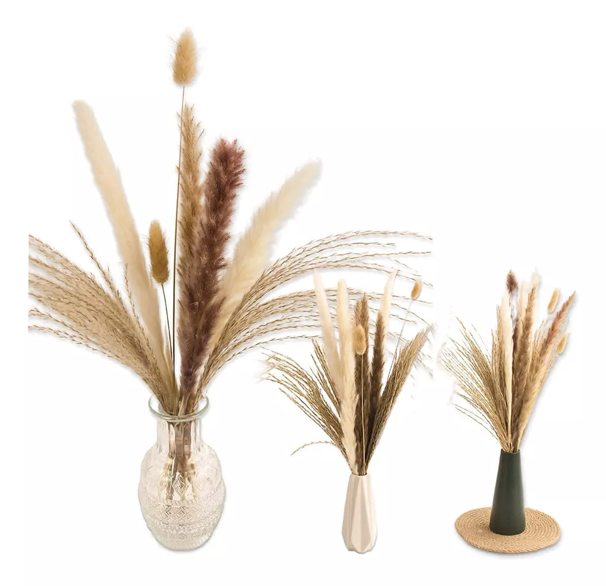 PAMPAS SECAS - 1