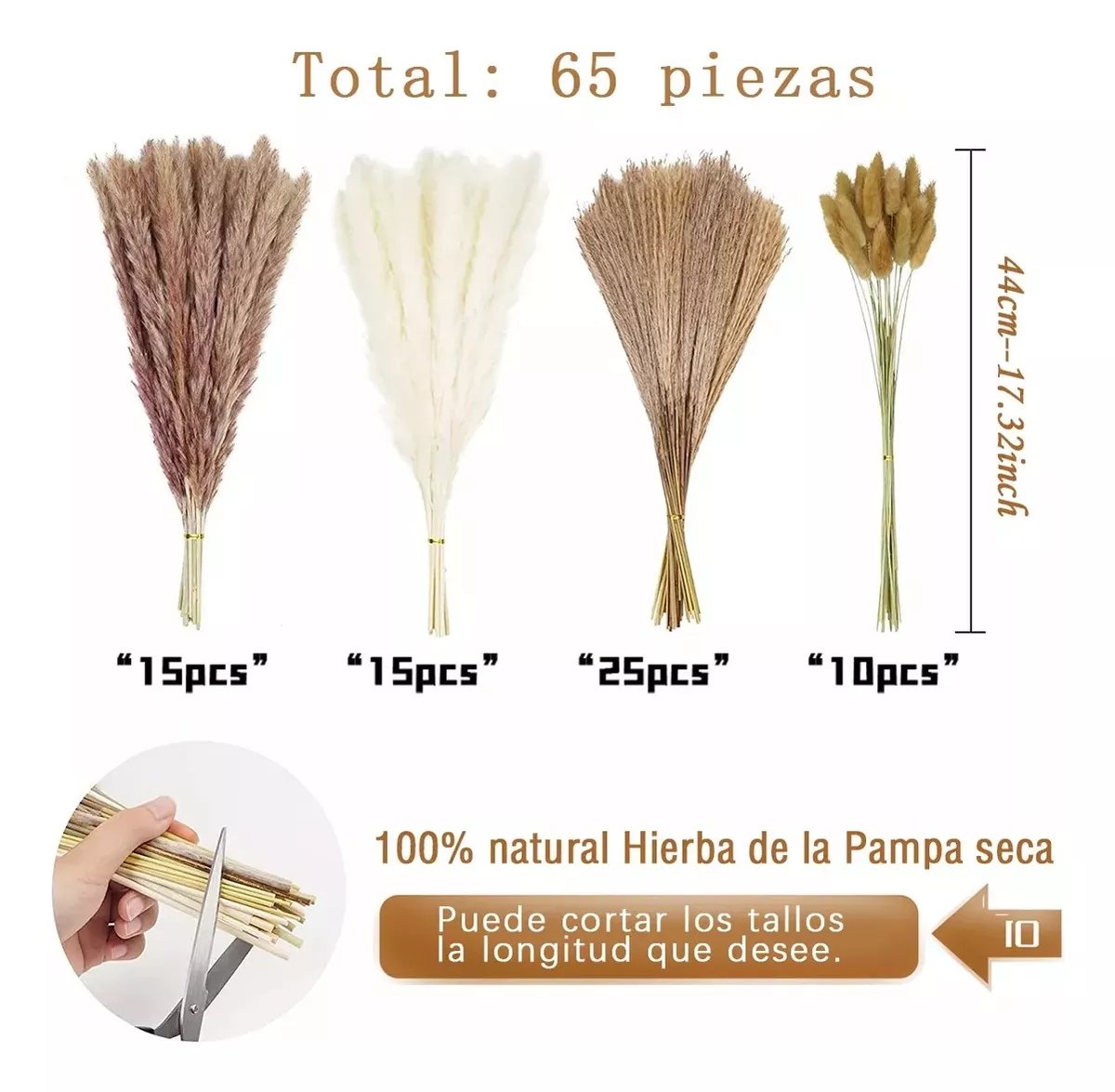 PAMPAS SECAS - 4
