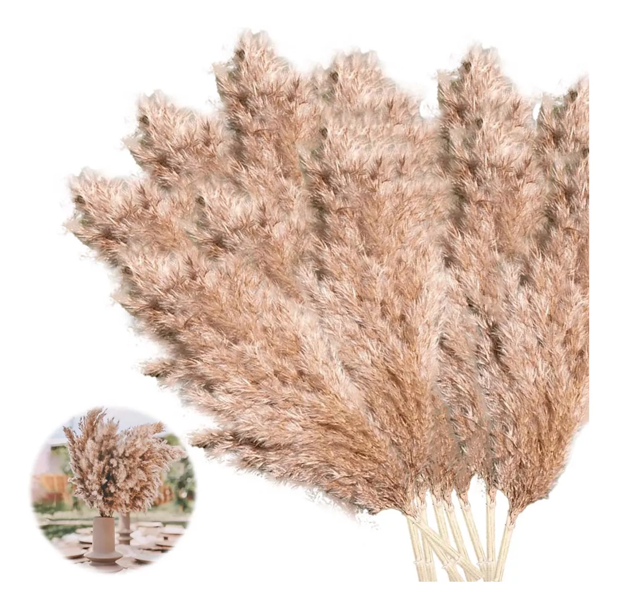 RAMA DE PAMPAS GRASS - 1