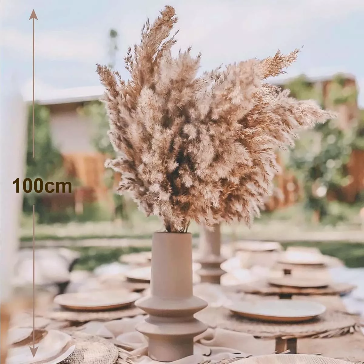 RAMA DE PAMPAS GRASS - 2