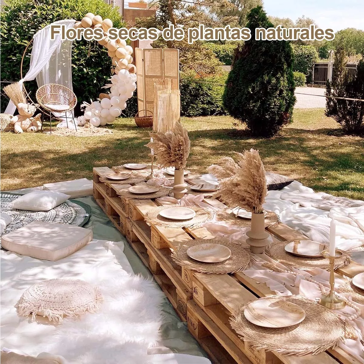 RAMA DE PAMPAS GRASS - 4