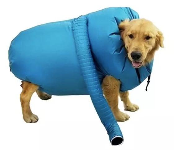SECADOR PARA PERROS - 1