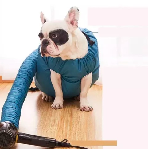 SECADOR PARA PERROS - 2