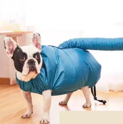 SECADOR PARA PERROS - 3