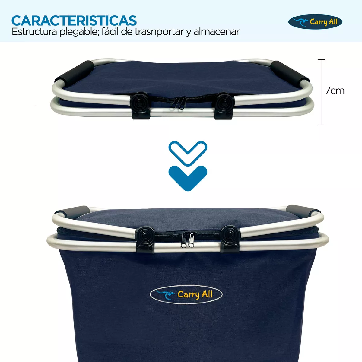 CANASTO CESTA - 4