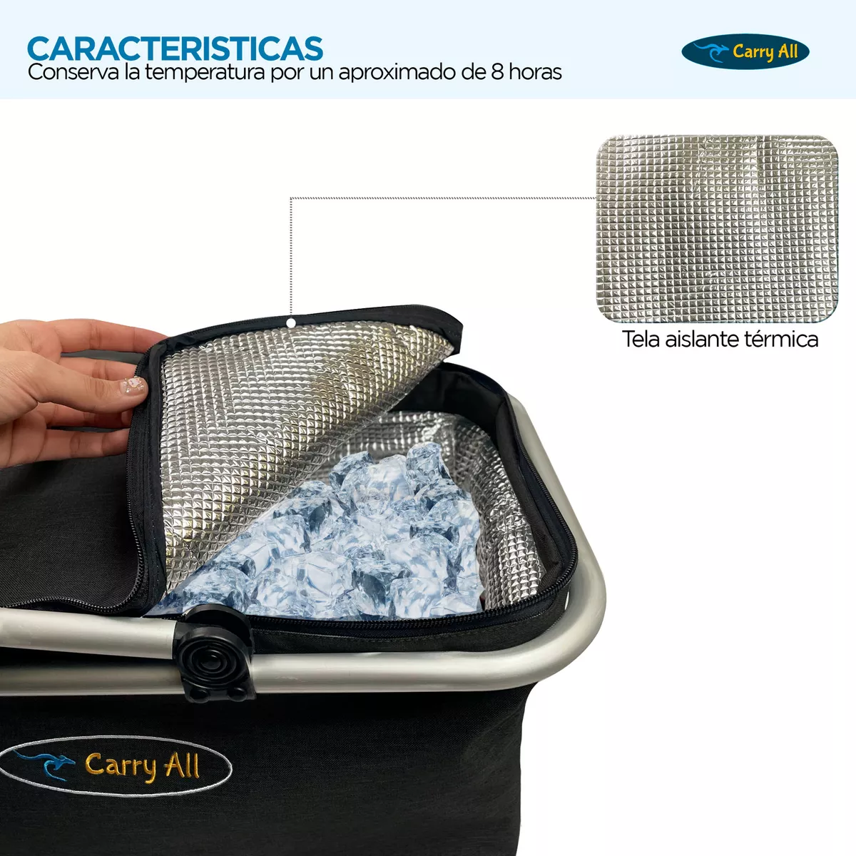 CESTA COOLER PICNIC - 5