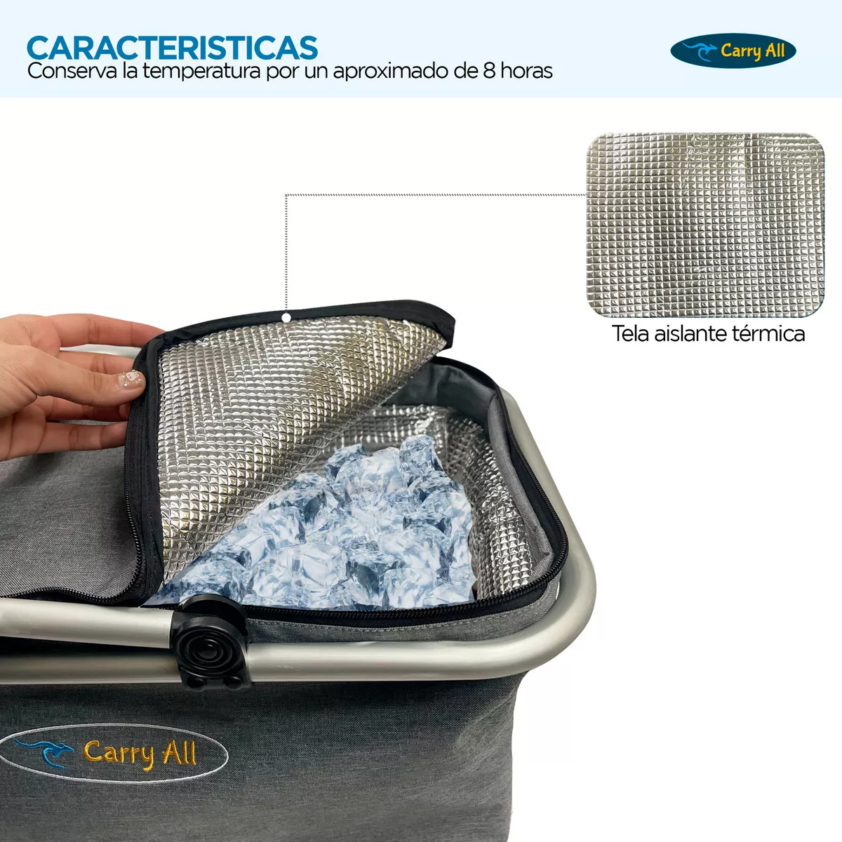 CESTA COOLER PICNIC - 5
