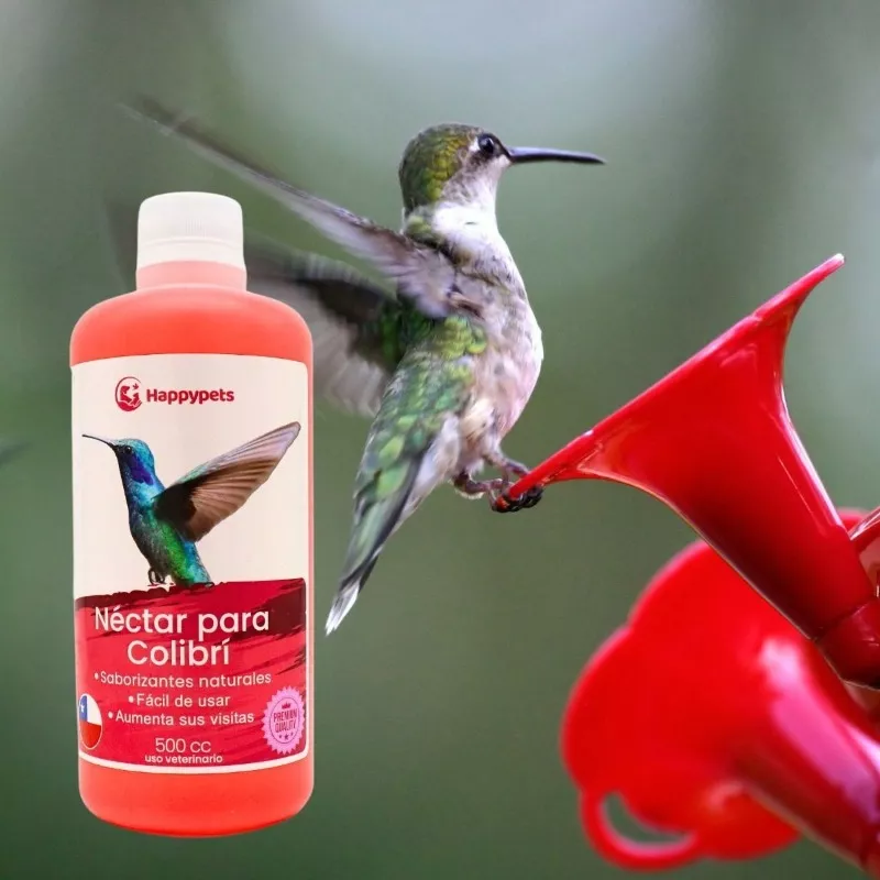 NECTAR PARA COLIBRÍES - 5