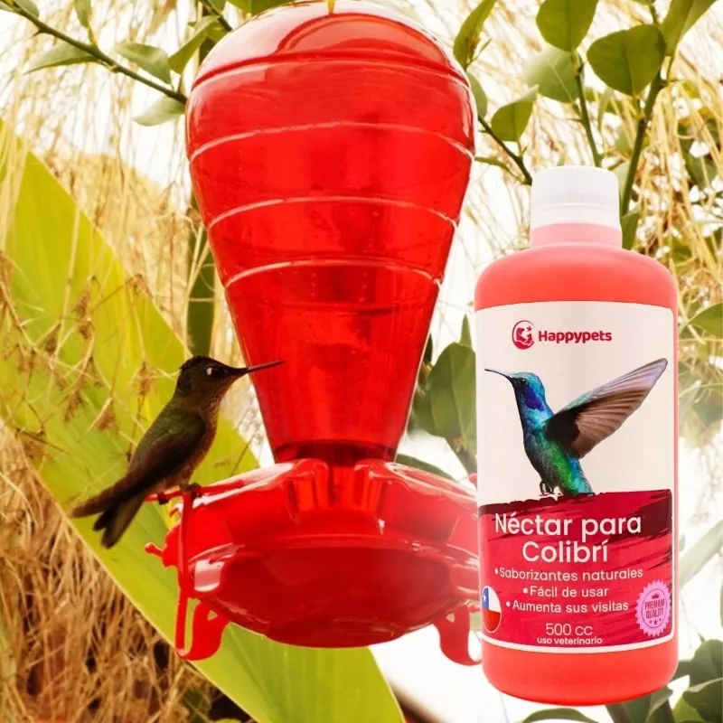 NECTAR PARA COLIBRÍES - 6