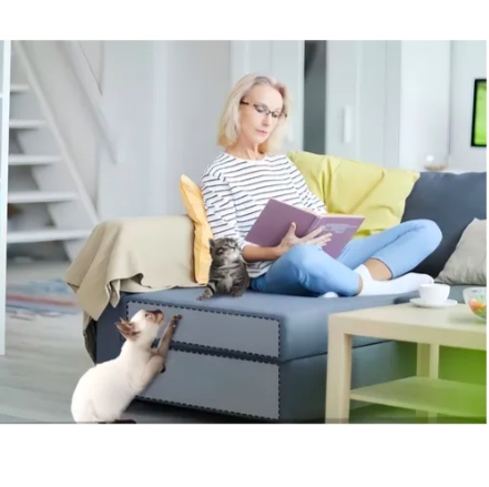 PEGATINA PROTECTORA ANTIARAÑAZOS PARA SOFA - 5