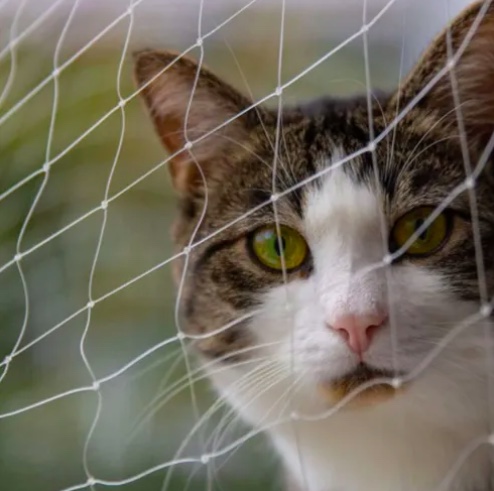 MALLA DE SEGURIDAD PARA GATOS - 3