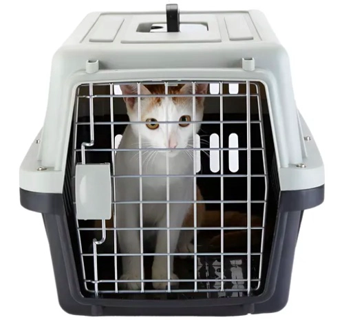 CANIL JAULA PARA GATOS CAJA ACARREO XS - 1