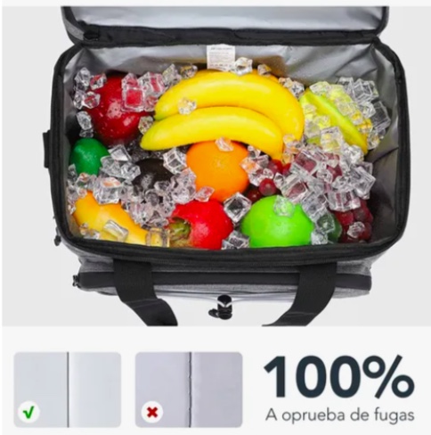 BOLSO COOLER 27 LITROS - 3