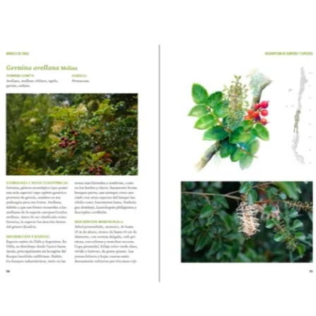 LIBRO ARBOLES DE CHILE - 2