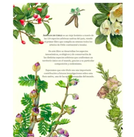 LIBRO ARBOLES DE CHILE - 3
