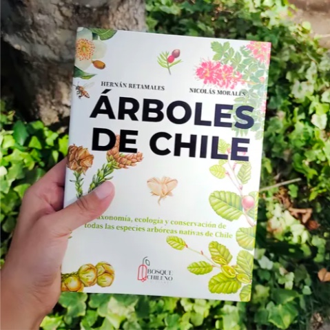 LIBRO ARBOLES DE CHILE - 4