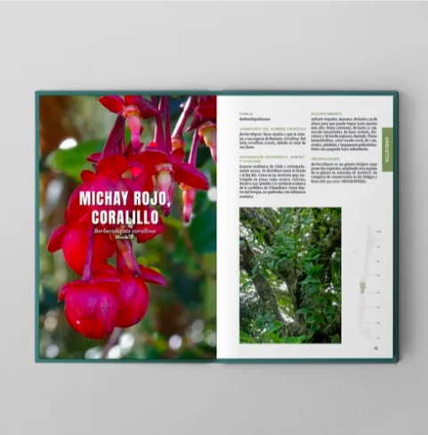 LIBRO ARBUSTOS Y ARBOLES DEL SUR DE CHILE Y PATAGONIA - 5