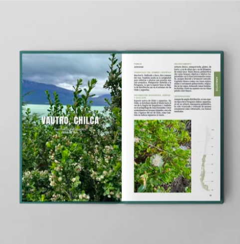 LIBRO ARBUSTOS Y ARBOLES DEL SUR DE CHILE Y PATAGONIA - 6