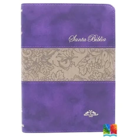 BIBLIA REINA VALERA 1909 SIMIL PIEL PURPURA CON INDICE - 4