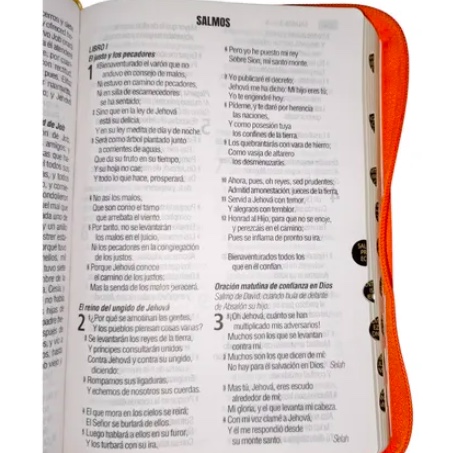 BIBLIA REINA VALERA 1960 LETRA GRANDE 12 PUNTOS CIERRE INDICE EN ESPAÑOL - 6