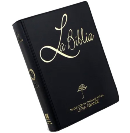 BIBLIA CHICA LETRA GRANDE VINIL NEGRO - 1