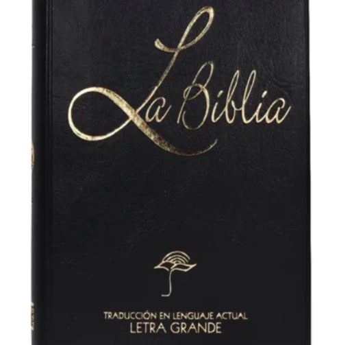 BIBLIA CHICA LETRA GRANDE VINIL NEGRO - 2